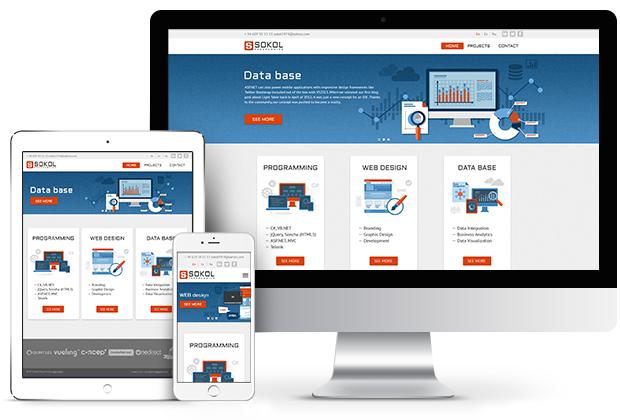 Sokolprograming - розробник asp.net